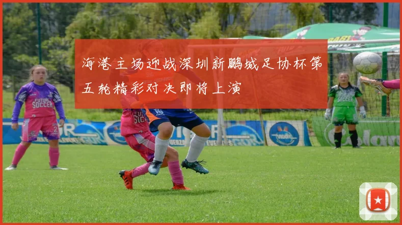 海港主场迎战深圳新鹏城足协杯第五轮精彩对决即将上演